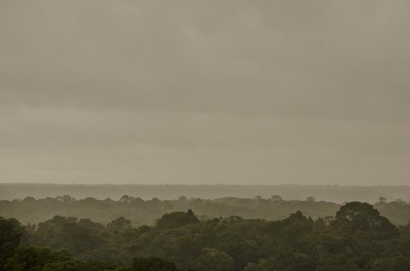 Remediação de Áreas Degradadas: Como restaurar o equilíbrio ambiental